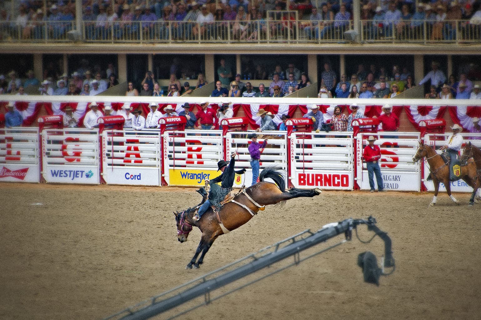 Carousel image 12
